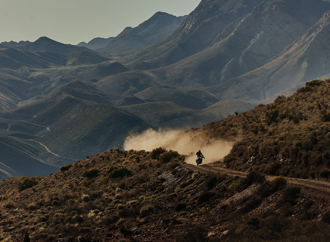 Ballad of Baboon Valley